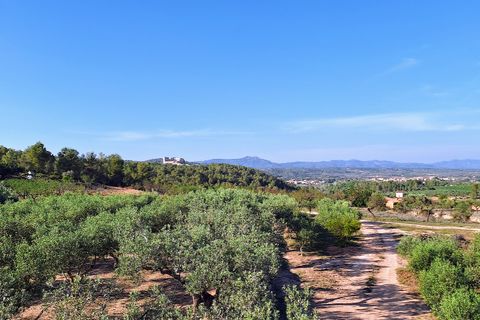 Finca i Rasquera, Tarragona, Rasquera - € 168.000 | Ref: CC799 - foto 16
